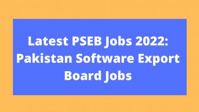 Photo of Latest PSEB Jobs 2023: Pakistan Software Export Board Jobs