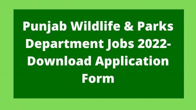 Photo of Punjab Wildlife & Parks Department Jobs 2023- Download Application Form