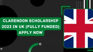 Photo of Clarendon Scholarship 2023 in UK (Fully Funded) Apply Now