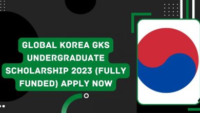 Photo of Global Korea GKS Undergraduate Scholarship 2023 (Fully Funded) Apply Now
