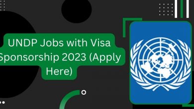 Photo of UNDP Jobs with Visa Sponsorship 2023 (Apply Here)