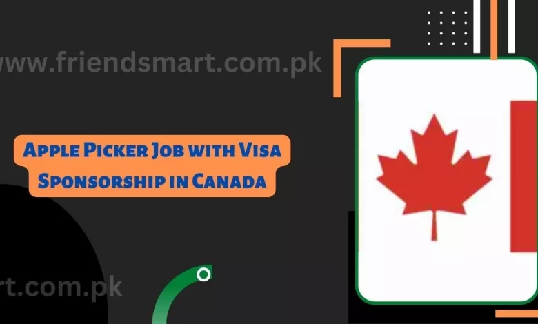 Photo of Apple Picker Job with Visa Sponsorship in Canada 2024