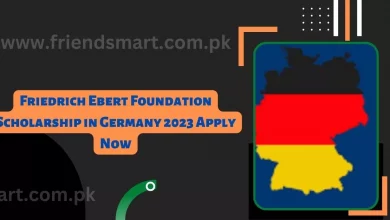 Photo of Friedrich Ebert Scholarship in Germany 2023 Apply Now