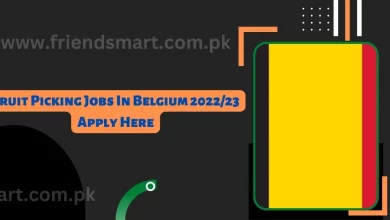 Photo of Fruit Picking Jobs In Belgium 2022/23 Apply Here