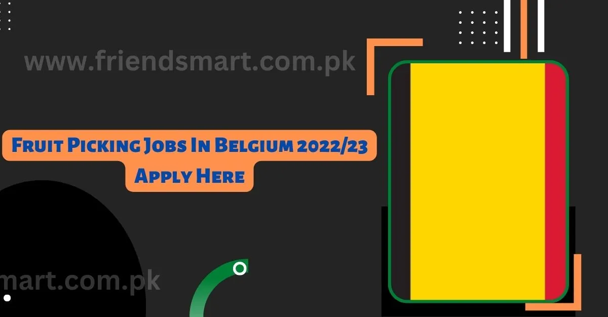 Fruit Picking Jobs In Belgium 202223 Apply Here