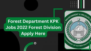 Photo of Forest Department KPK Jobs 2023 Forest Division Apply Here