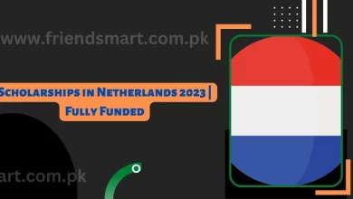 Photo of Scholarships in Netherlands 2023 | Fully Funded