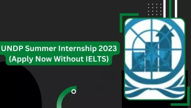 Photo of UNDP Summer Internship 2023 (Apply Now Without IELTS)