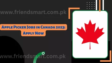 Photo of Apple Picker Jobs in Canada 2023: Apply Now