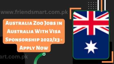 Photo of Australia Zoo Jobs in Australia With Visa Sponsorship 2023 – Apply Now