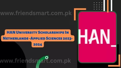 Photo of HAN University Scholarships In Netherlands -Applied Sciences 2023-2024