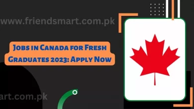 Photo of Jobs in Canada for Fresh Graduates 2023: Apply  Now