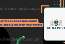 Photo of Master’s And MBA Scholarship Netherlands at Budapest Fully Funded