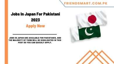 Photo of Jobs In Japan For Pakistani 2023 Apply Here