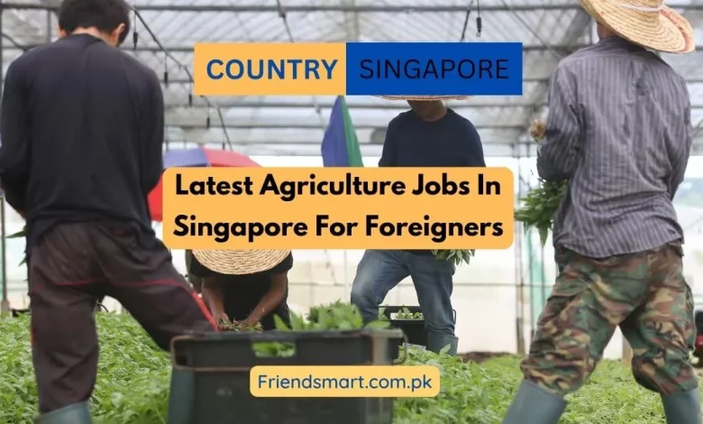 Photo of Latest Agriculture Jobs In Singapore For Foreigners 2024
