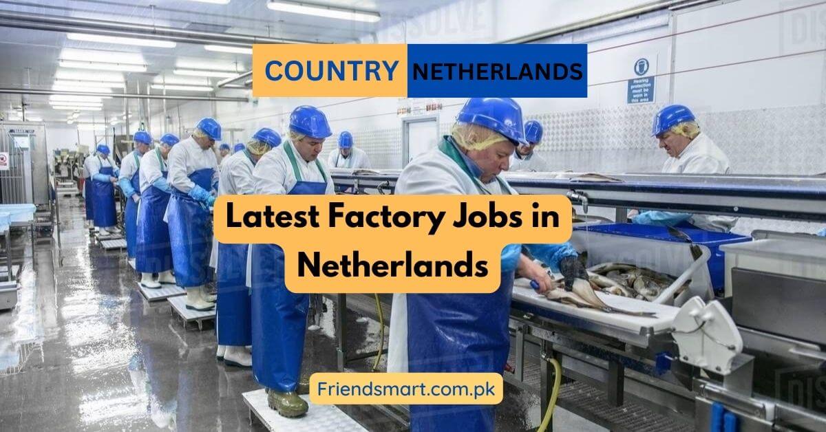 Latest Factory Jobs in Netherlands