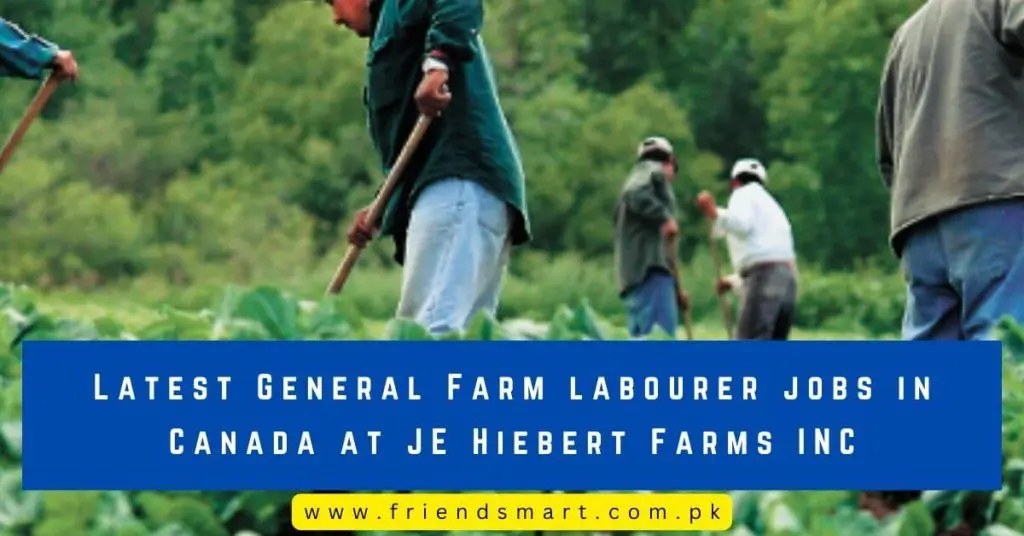 Latest General Farm labourer jobs in Canada at JE Hiebert Farms INC