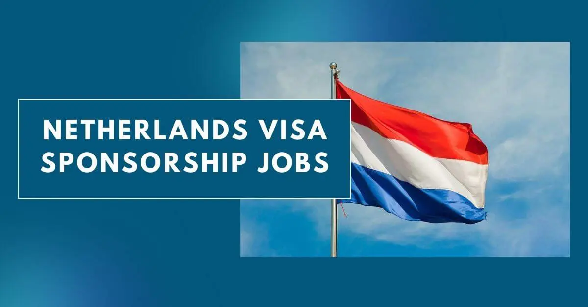 Engineering jobs netherlands visa sponsorship