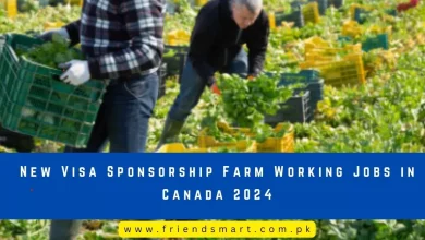 Photo of New Visa Sponsorship Farm Working Jobs in Canada 2024