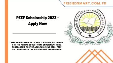 Photo of PEEF Scholarship 2023 – Apply Now