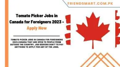 Photo of Tomato Picker Jobs in Canada for Foreigners 2023 – Online Apply