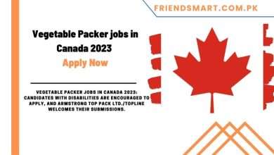 Photo of Vegetable Packer jobs in Canada 2023 – Apply Now