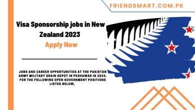 Photo of Visa Sponsorship jobs in New Zealand 2023 – Apply Now