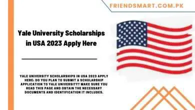 Photo of Yale University Scholarships in USA 2024 – Apply Here