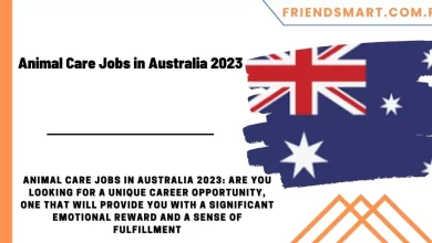 Photo of Animal Care Jobs in Australia 2023 Visa Sponsorship