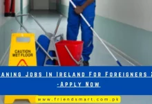 Photo of Cleaning Jobs In Ireland For Foreigners 2024 – Apply Now