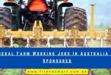 Photo of General Farm Working Jobs In Australia Visa Sponsored