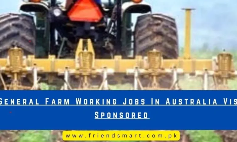 Photo of General Farm Working Jobs In Australia Visa Sponsored