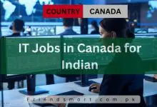 Photo of IT Jobs in Canada for Indian 2024 Visa Sponsorship