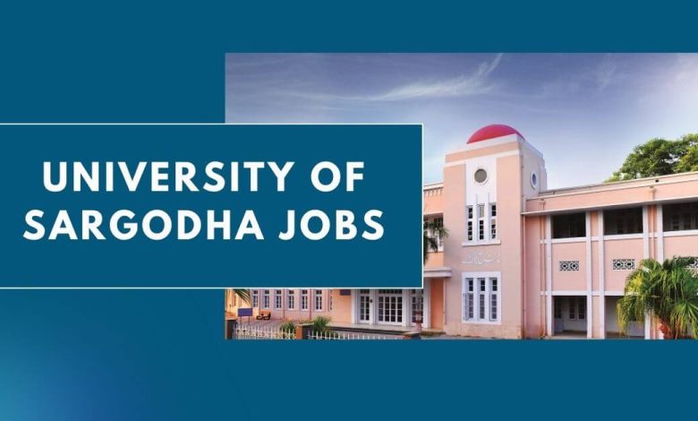 Photo of University of Sargodha Jobs 2024 – Non-Teaching Staff