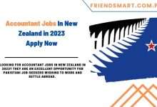 Photo of Accountant Jobs In New Zealand in 2023 – Apply Now
