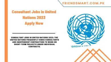 Photo of Consultant Jobs in United Nations 2023 – Apply Now