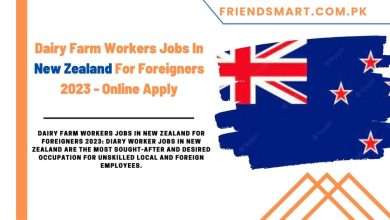 Photo of Dairy Farm Workers Jobs In New Zealand For Foreigners 2023 – Online Apply