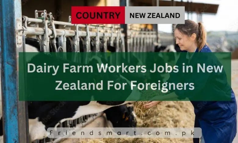 Photo of Dairy Farm Workers Jobs in New Zealand For Foreigners 2024