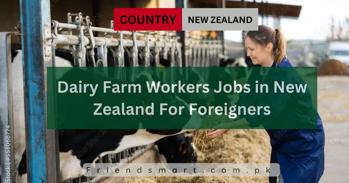 Dairy Farm Workers Jobs in New Zealand For Foreigners