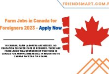 Photo of Farm Jobs in Canada for Foreigners 2023 – Apply Now