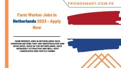 Photo of Farm Worker Jobs In Netherlands 2023 – Apply Now