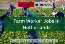 Photo of Farm Worker Jobs In Netherlands 2024 – Apply Now