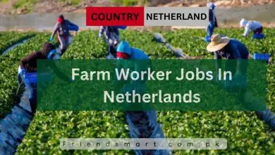Photo of Farm Worker Jobs In Netherlands 2024 – Apply Now