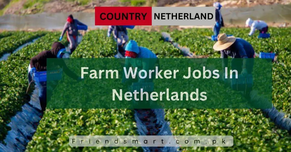 Farm Worker Jobs In Netherlands