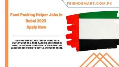 Photo of Food Packing Helper Jobs In Dubai 2023 – Apply Now