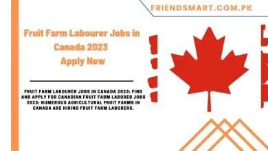 Photo of Fruit Farm Labourer Jobs in Canada 2023 – Apply Now