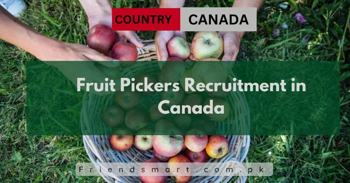 Fruit Pickers Recruitment in Canada