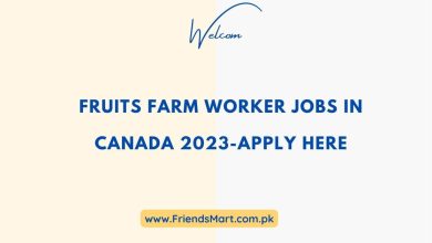 Photo of Fruits Farm Worker Jobs In Canada 2023-Apply Here