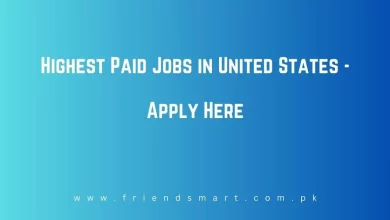 Photo of Highest Paid Jobs in United States 2024 – Apply Here
