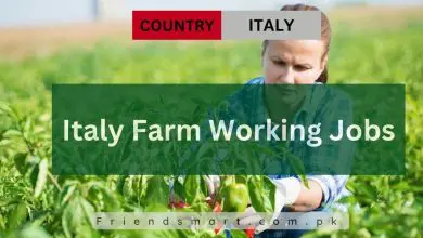 Photo of Italy Farm Working Jobs 2024 Visa Sponsorship – Apply Now